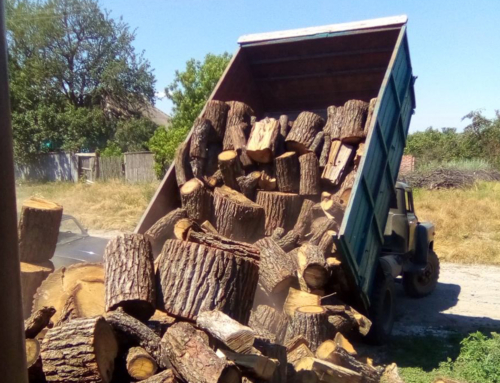 Firewood for Winter